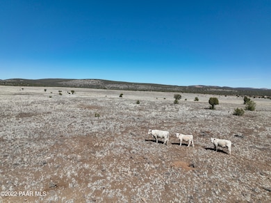 Lot 99 Juniperwood Ranch Rd, Ash Fork, AZ 86320 - photo 3