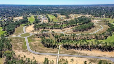 315 Hickory Course Loop, Ocala, FL 34472 - photo 4