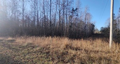 2143 Gizzard Creek Rd, Sequatchie, TN 37374 - photo 7