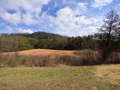 6610 Thomas Weaver 5