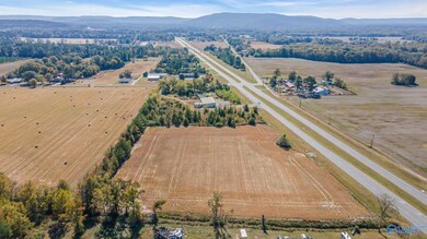 3 acres Highway 431 S, Owens Cross Roads, AL 35760 - photo 5