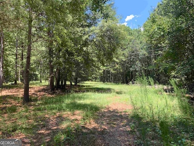 40 Anderson Rd, Griffin, GA 30223 - photo 4