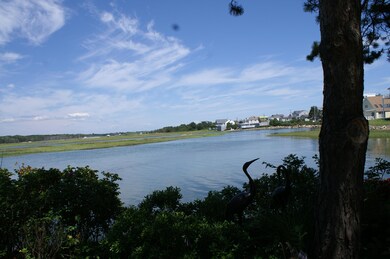 Peacefull Setting