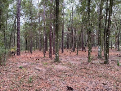 000 SW 188th Cir, Dunnellon, FL 34432 - photo 4