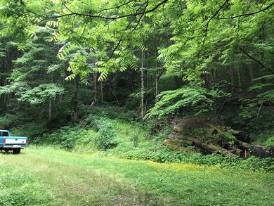 back of property