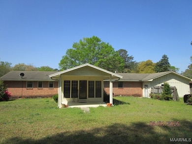 rear view