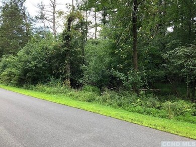 0 Sleepy Hollow Rd unit 122550, Coxsackie, NY 12051 - photo 7