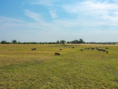 TBD Lot 10 Valek Rd, Ennis, TX 75119 - photo 7