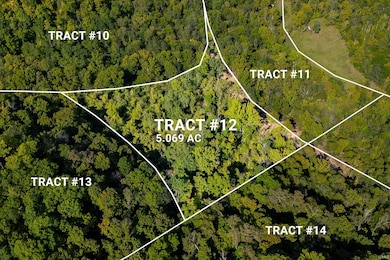 Tract 12 Indiana 156, Patriot, IN 47038 - photo 3