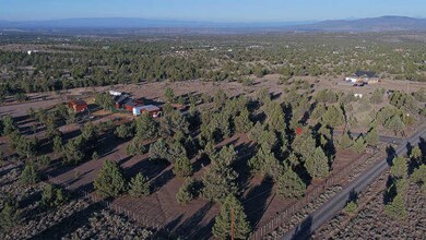 Drone View
