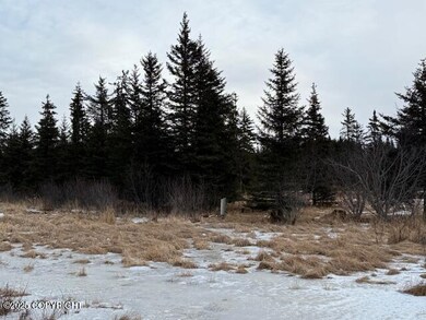 26220 Sterling Hwy, Anchor Point, AK 99556 - photo 7
