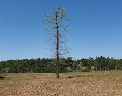 2033 White Buck Ct, Cleveland, TX 77328 - photo 6