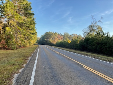 000 Hwy 92s E, Spurger, TX 77660 - photo 6