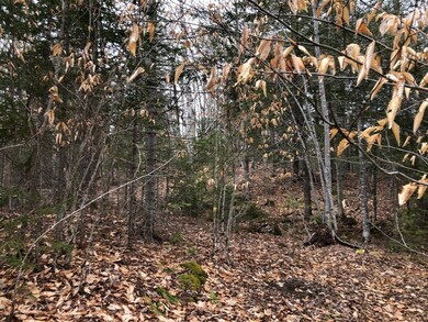 trees
