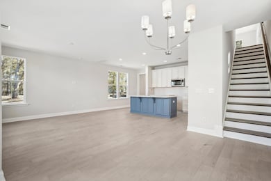 Great Room and Kitchen