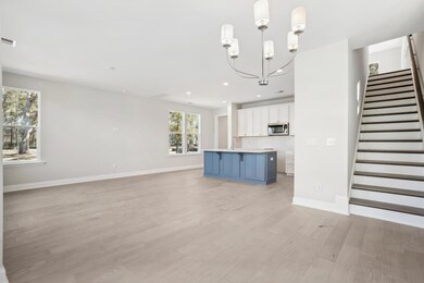 Great Room and Kitchen