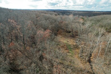 000 Hwy Pp, Collins, MO 64738 - photo 4