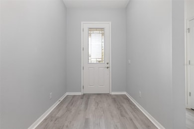 2017 Flora Pass Place, Kissimmee, FL 34747 - photo 3