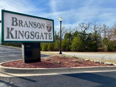 3830 Green Mountain Dr, Branson, MO 65616 - photo 4