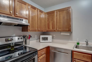 Electric stove