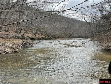 001-04964-003 Jimmie Creek Trail, Yellville, AR 72687 - photo 3