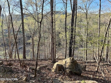 0 Catoosa Drive & Kahiti Ct unit 1321706, Mooresburg, TN 37811 - photo 7