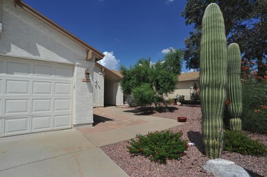 Mature Landscaping