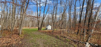 2832 26 3 8 Ave Lot# 5 Ave, Birchwood, WI 54817 - photo 4
