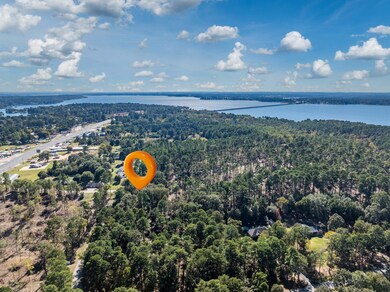 0 Pintail Lot 4, Flint, TX 75762 - photo 5