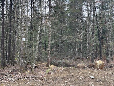 Lot I Whitetail Trail, Greenville, ME 04441 - photo 3