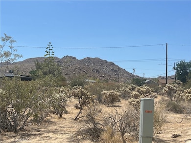 61891 El Reposo Cir, Joshua Tree, CA 92252 - photo 2