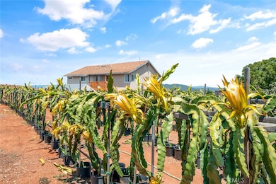 1996 Rainbow Glen Rd, Fallbrook, CA 92028 - photo 6