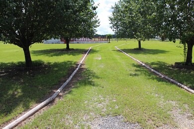 1609 Antioch Rd, Cordele, GA 31015 - photo 4