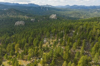 TBD Trackers Trail, Keystone, SD 57751 - photo 6