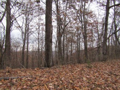 13ac Upper Crab Rd, Jamestown, TN 38556 - photo 5