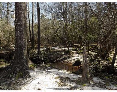 0 Debert Adams Rd, Lucedale, MS 39452 - photo 7