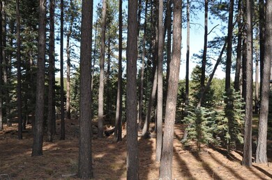 67 County Rd N 1330 Rd unit 7, Greer, AZ 85927 - photo 5