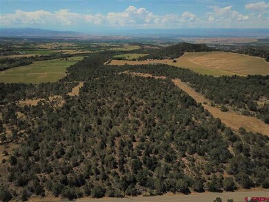 0 Uintah Rd unit 700701, Cedaredge, CO 81413 - photo 2