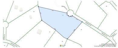 0 Meadow Dr, Linden, TN 37096 - photo 6