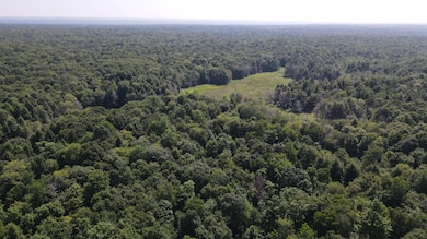 0 Kimball Camp Rd unit 11531903, Orwell, NY 13426 - photo 5