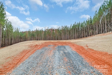 10300 Fink Rd unit 2, Mount Pleasant, NC 28124 - photo 3