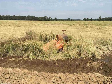 0 Tilley Ln unit 19029482, Waldenburg, AR 72475 - photo 7