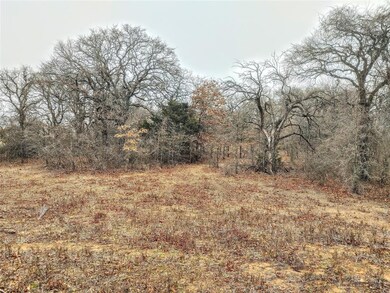 TBD County Road 4790, Boyd, TX 76023 - photo 7