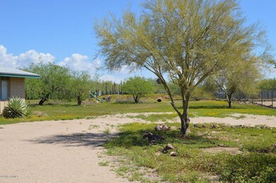 DSC_0555.JPG