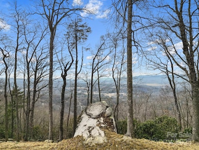 Lot 65 Featherstone Dr unit 65, Fletcher, NC 28732 - photo 7