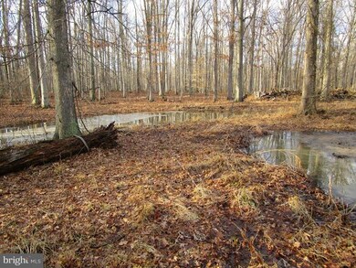 16506 Gaines Rd, Broad Run, VA 20137 - photo 4