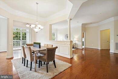 7871 Rolling Woods Ct unit 408, Springfield, VA 22152 - photo 6