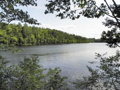 A cabin could be located near the...