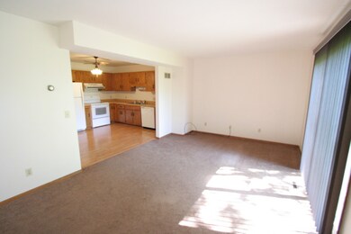 1314 Deerpath Dr, Morris, IL 60450 - photo 2