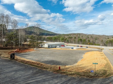 Lot 1 Copperhead Rd, Blairsville, GA 30512 - photo 5